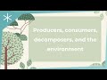 Producers, Consumers, Decomposers, and the Environment