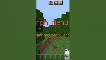 Minecraft morph mod