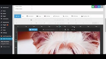 How to add Revolution Slider