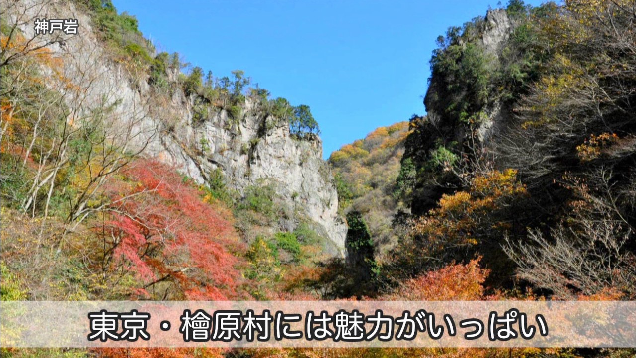 檜原村 多摩地域30市町村の魅力紹介 多摩の魅力発信プロジェクト 檜原村 多摩地域30市町村の魅力紹介 多摩の魅力発信プロジェクト