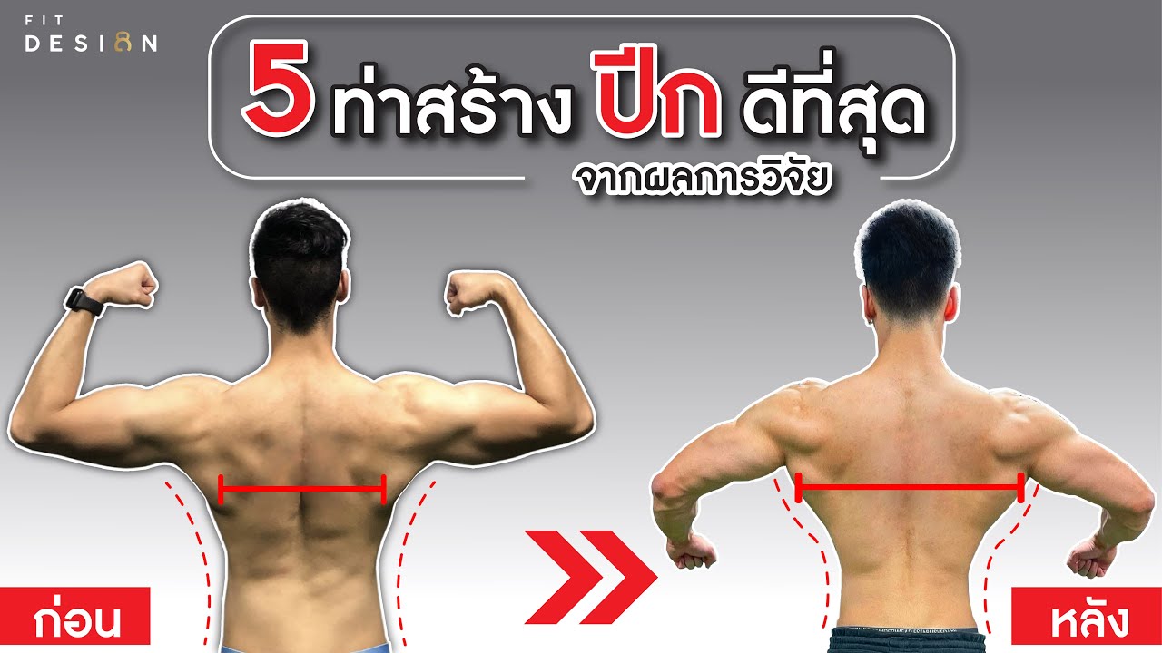 ท่าเล่นหลัง  New Update  5 ท่าสร้างกล้ามหลังส่วนปีก เพิ่มความกว้างของหลังได้ดีที่สุด มีงานวิจัยรับรอง | FITDESIGN