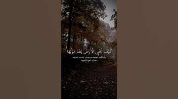 سورة الروم رعد الكردي