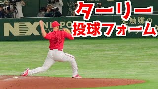 ターリー ピッチングフォーム(スローあり)【広島】