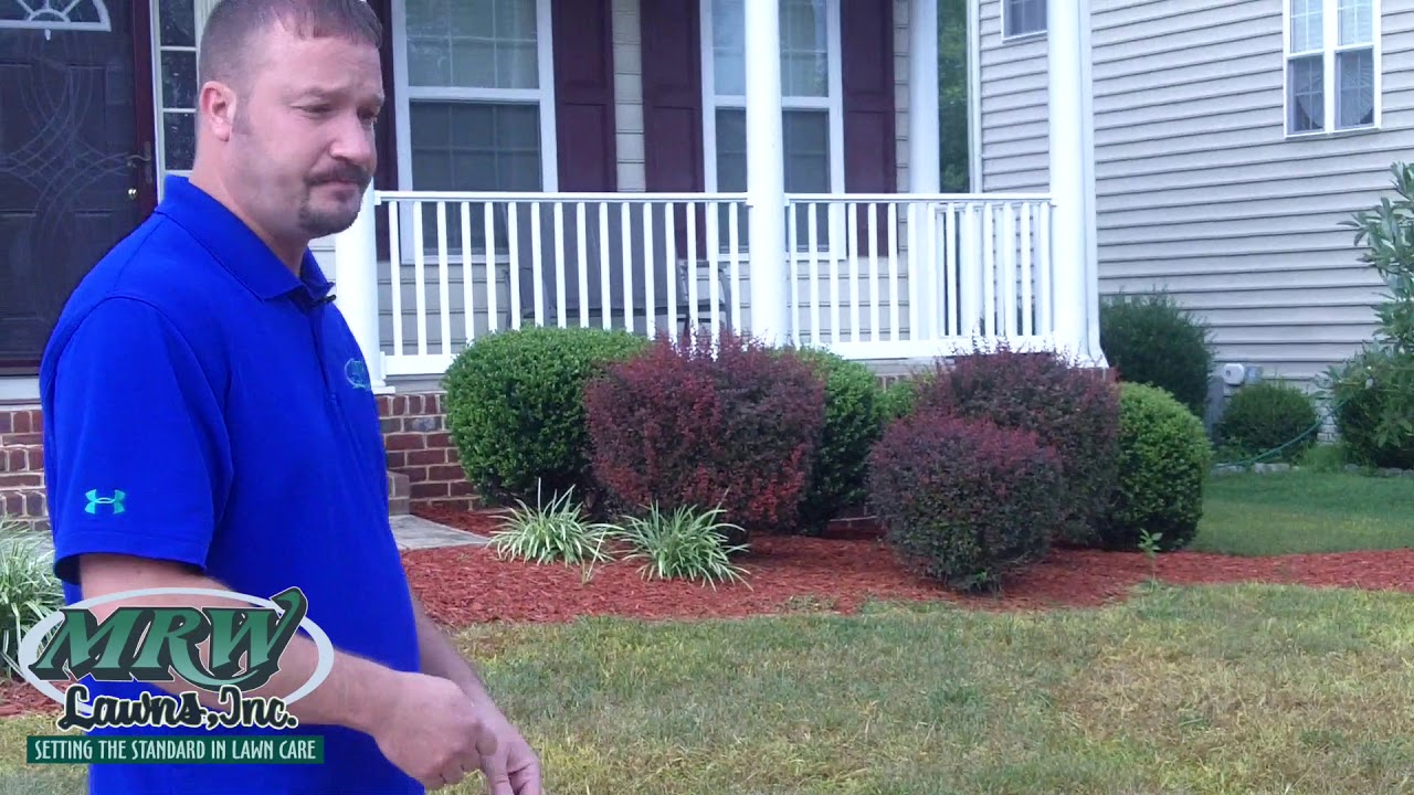 Complete Lawn Renovation Part 2 with MRW Lawns YouTube