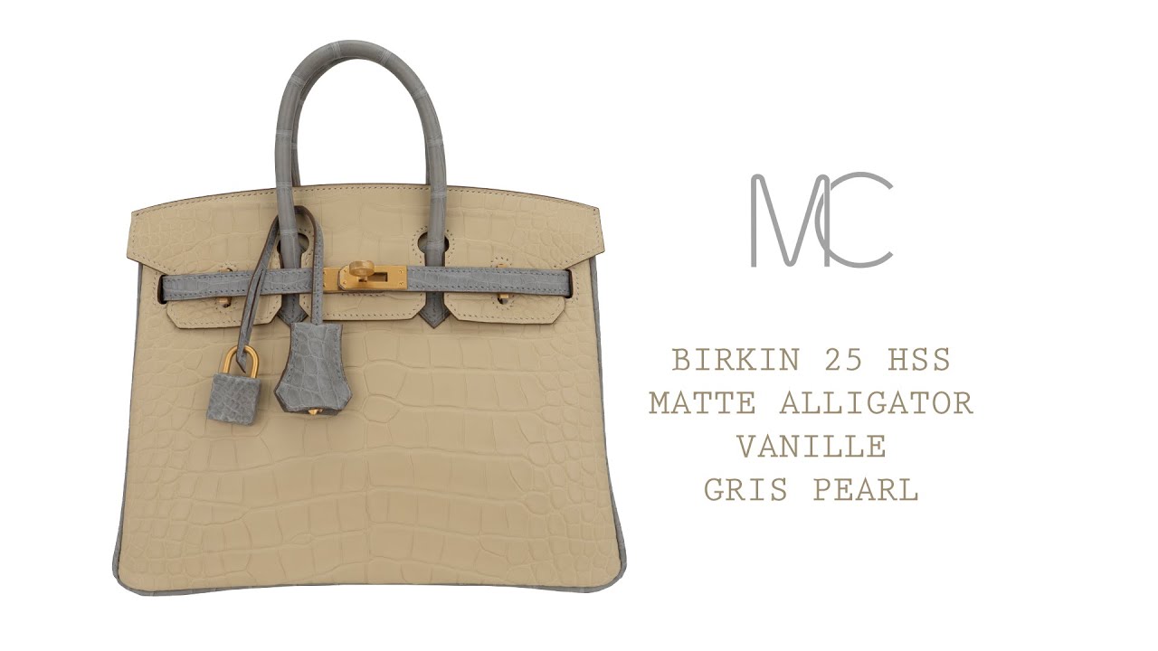 Hermes Birkin 25 Handbag CC80 Pearl Grey Matte Alligator SHW