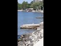 Serkant video from Erdek Turkey: Seagull on the Sea of ​​Marmara/16.04.24
