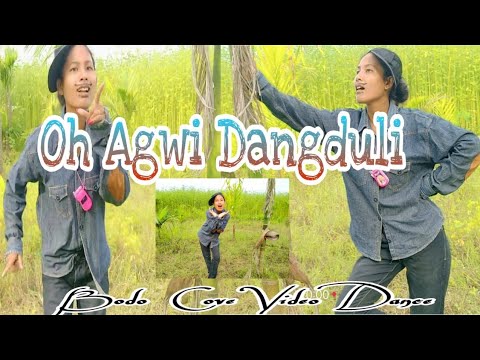 Oh Agwi Danguli Bobao Tangnw Salala  New bodo cover  Dance video  TD production