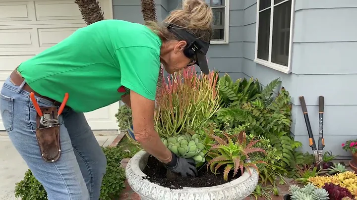 Creating a Gorgeous Pot of Succulents.