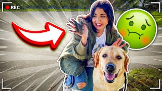LICKING DOG POO PRANK!