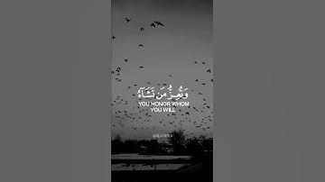 سورة آل عمران إسلام صبحي