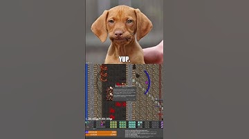 Dead Whilst Sorting Keyboard #tibia #gaming #tibiapvp #games #cipsoft #mmorpg #pvp #deathpenalty