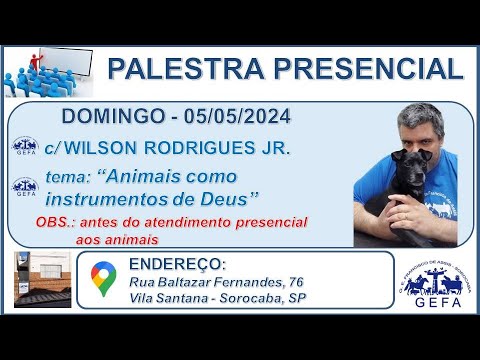 Assista: Palestra Presencial - c/ WILSON RODRIGUES JÚNIOR (05/05/2024)