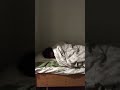 Ð¡Ñ‚Ñ€Ð°ÑˆÐ½Ð¾ Ð½Ð¾Ñ‡ÑŒÑŽ