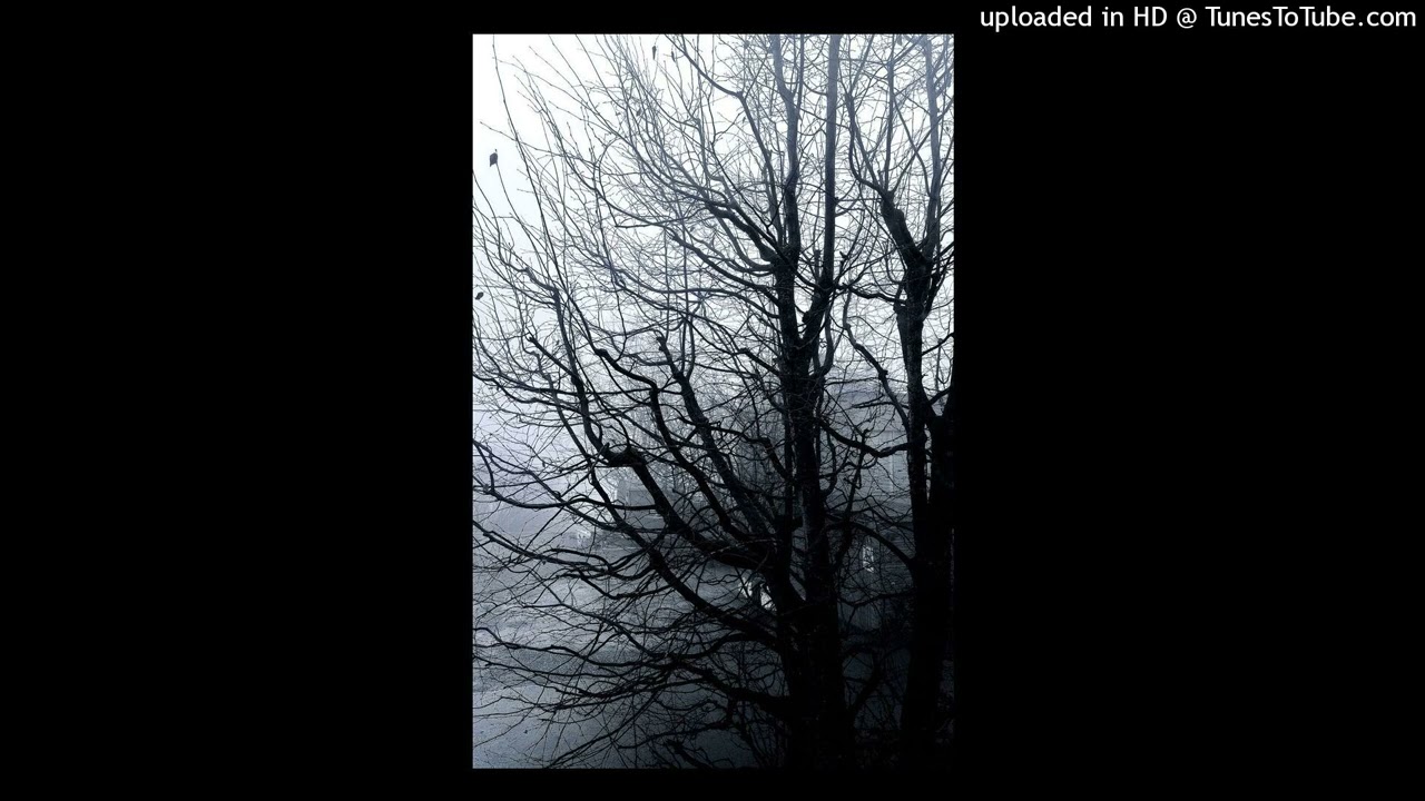 (free) nine vicious x 1300saint type beat "frame work" (15hundrd + luvxomea)