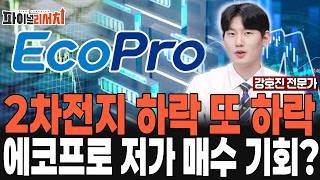 2차전지 끝 없는 하락...에코프로 저가 매수 기회일까? 주가 대응 전략은? [강호진 전문가]