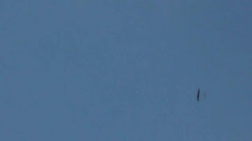 Firebird Phantom 3ch Airplane - First Flight & Crash