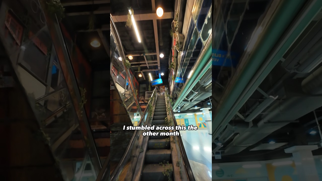 Я нашёл антиутопический мир в Борнмуте! 