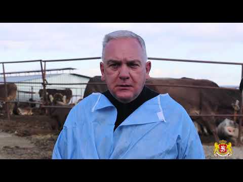 ქვემო ქართლის რეგიონში მესაქონლეობის ფერმა ამოქმედდა