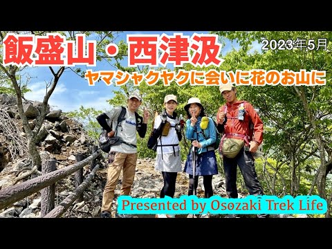 【飯盛山・西津汲 登山】ヤマシャクヤクに会いに花のお山に 2023年5月