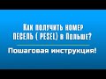 Как получить номер PESEL без прописки в Польше бесплатно?