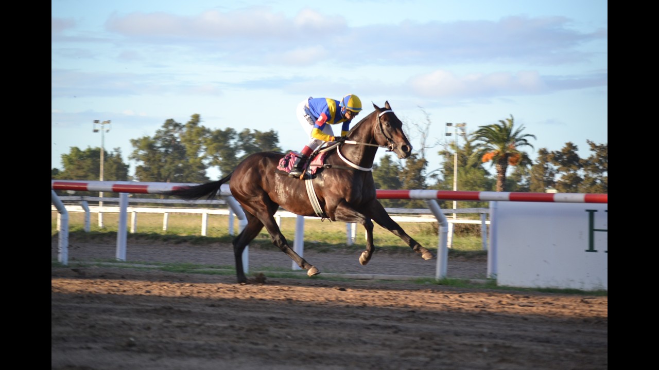 Clásico Onesto Puente (L) 2026 - Escape Room (Il Campione)