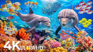 Amazing 4K Ocean Adventure 🐳 Dive Deep and Marvel at Sea Animal in The Best 4K ULTRA HD Aquarium
