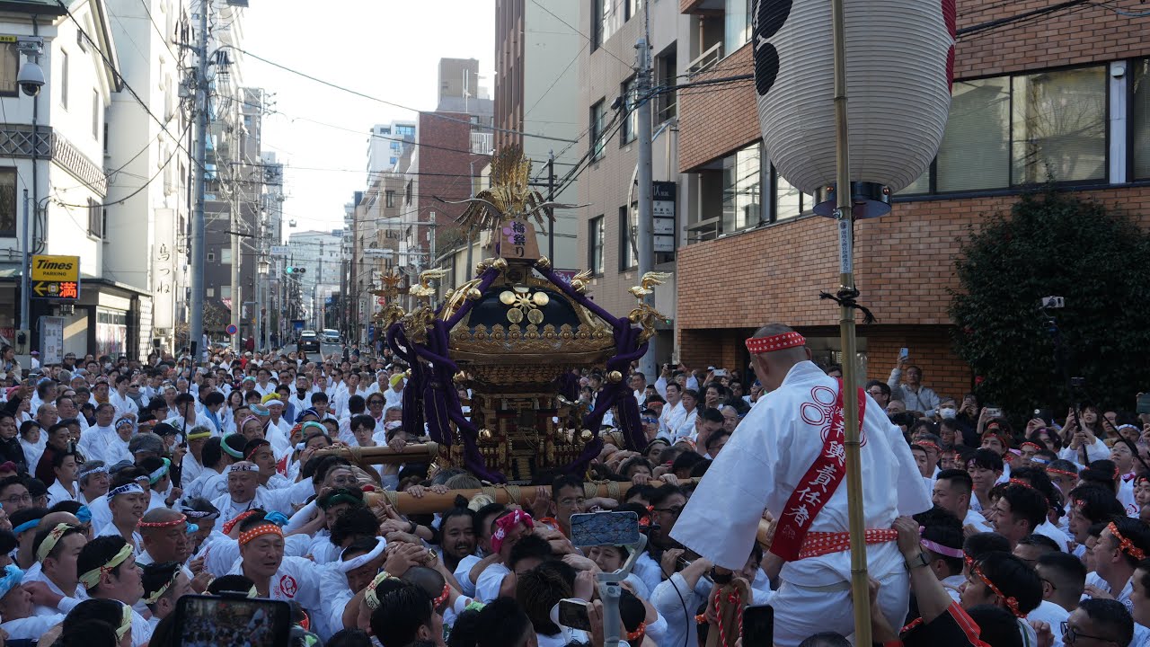 第69回　文京梅まつり　湯島天満宮祭禮連合会神輿渡御　着輿