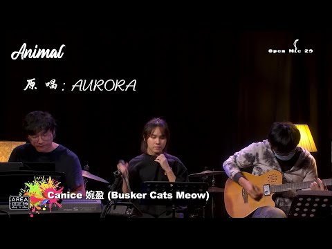 翻唱 ｜ Animal ｜ Canice婉盈 ｜ Open Mic 29 ｜ 贰拾玖区Area29