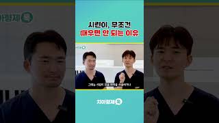 치과 가기 전 필수 시청! 파인 치아 바로 때우면 안 되는 이유