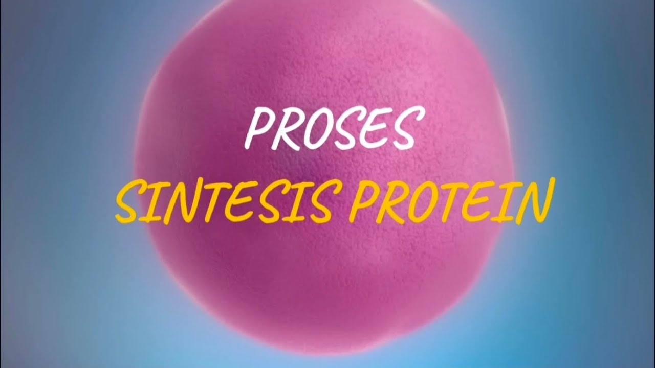 DRAMA SINTESIS PROTEIN - SMA GEMBALA BAIK - 12 MIPA 2 - KELOMPOK YEMIMA ...