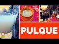 PULQUE - Preguntas frecuentes y PROFUNDAS