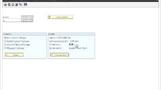 sap basis support pack upgrade