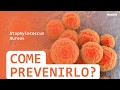 Staphylococcus Aureus  - Microlife Lab - Inverigo (Co)