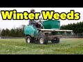 Winter Weed Control For Lawns