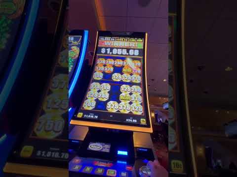 casino, bingo,juegos de azar..馃啑馃憟馃敟馃挭馃摫1138933287