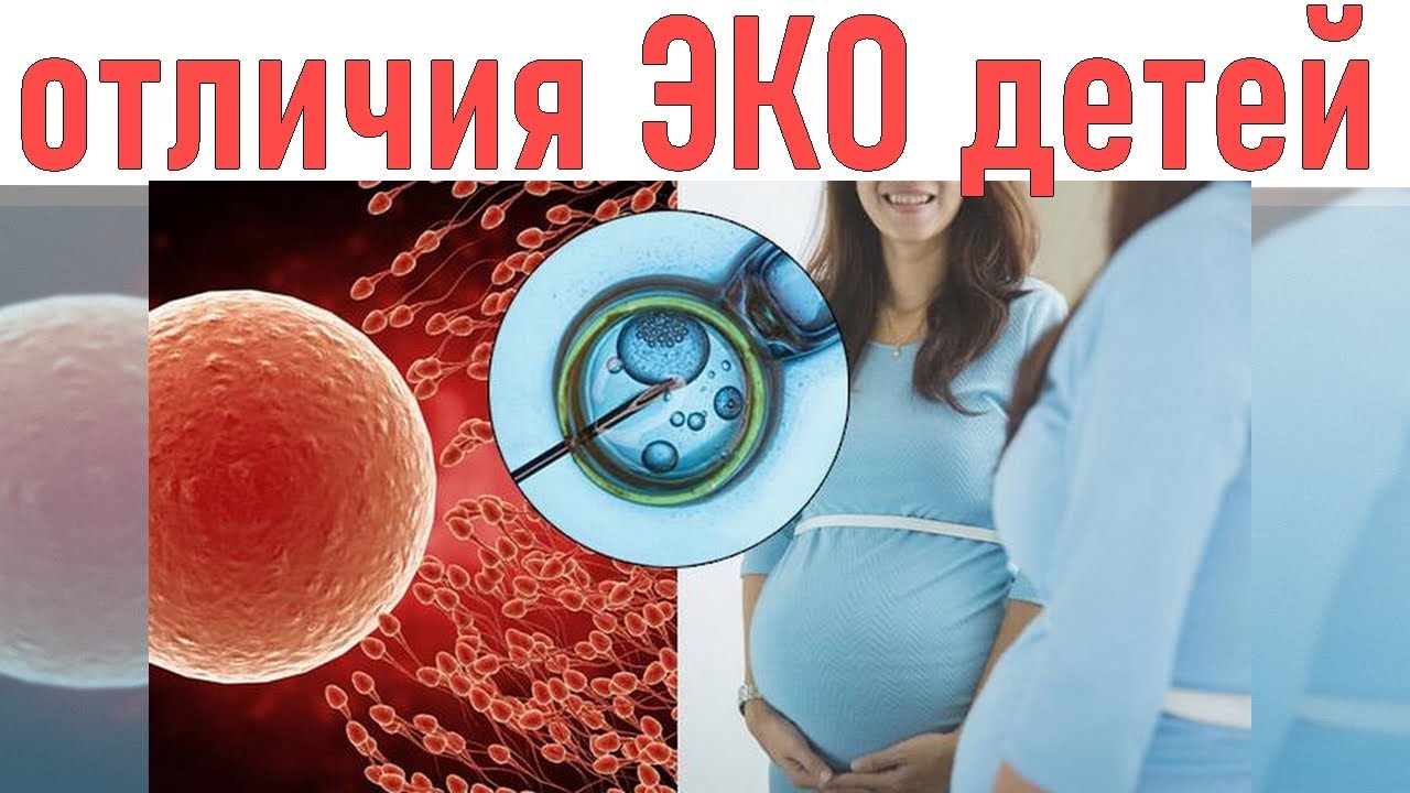 Как улучшить яйцеклетки после 40. Эко экстракорпоральное оплодотворение. Оплодотворение яйцеклетки эко. Эко это искусственное оплодотворение. Оплодотворение беременность.