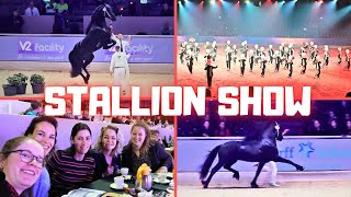 The KFPS stallion show 2024 | With an amazing champion | Best of the world | Friesian Horses