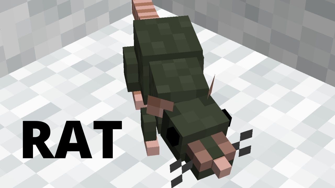Rats in the Minecraft! | Minecraft | Minecraft mods | mods | Dragon ...