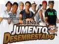 Jumento Desembestado Vol 7 Completo Download MP3