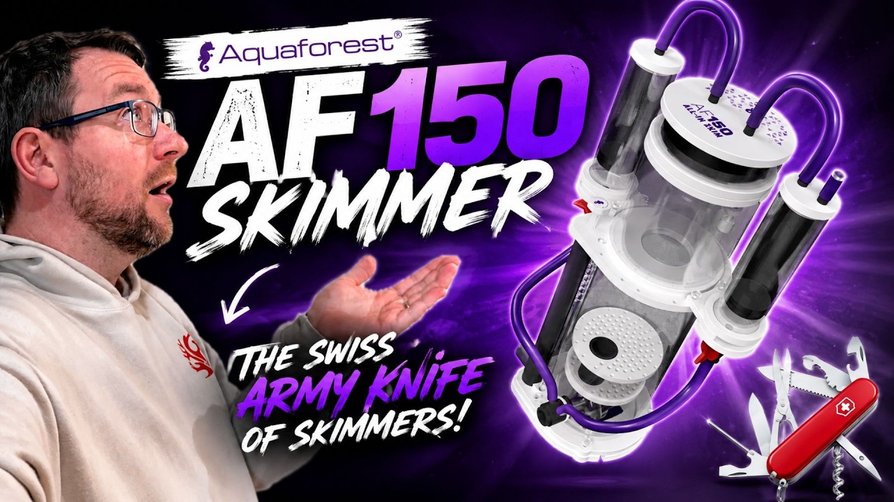 The Swiss Army knife of Skimmers, The Aquaforest AF150