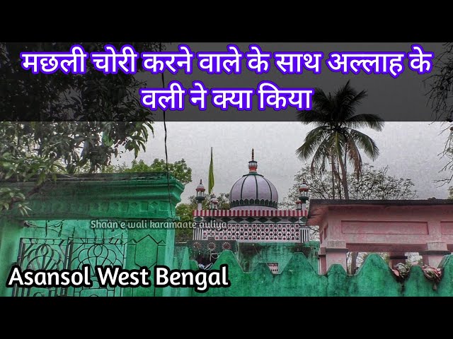 Chet elliklar bilan jinsiy aloqa bilan multfilmlar