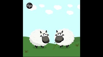 2D Animation Eid Adha 2018 After effect