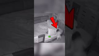 They Both Need A Crib