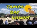 TAMPA BAY DOWNS HORSE RACE FUN