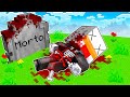 IL FIGLIO DI BELLAFACCIA SI AMMALA E STA PER M0RIRE!!😭 *FINE DELLA SERIE* - MINECRAFT ITA