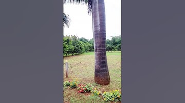 IISER Pune Campus [ IISER Pune Main Building ]