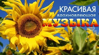 Невероятно вдохновляющая и Бесконечно КРАСИВАЯ МУЗЫКА для души (Сергей Грищук)