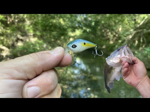 Small Crankbait Fishing! Googan Baits Banger MINI! Does It Catch Bass? Is  It a Good Creek Lure? 