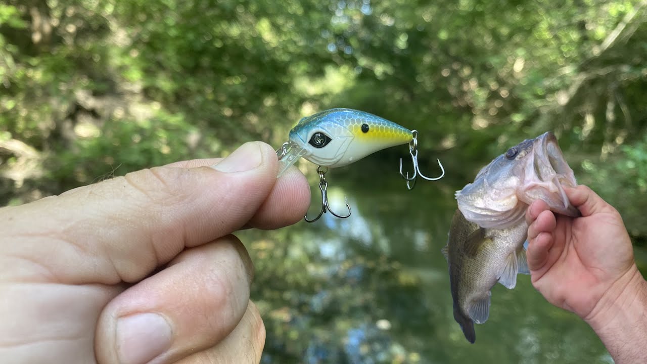 Small Crankbait Fishing! Googan Baits Banger MINI! Does It Catch Bass? Is  It a Good Creek Lure? 