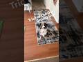 Rocky’s Tricks: Ep. 2